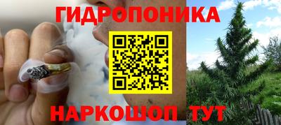 прущий лед Мариинск