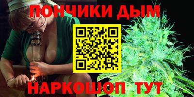 Альфа ПВП Малгобек